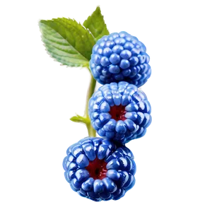 Shimmering Blue Raspberry Png Axd16 PNG Image