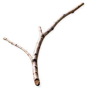 Shiny Twig Png 06132024 PNG Image