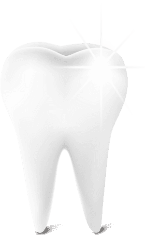 Tooth Euclidean Vector Download Icon - Teeth Png Vector Transparent, Png Download PNG image with transparent background
