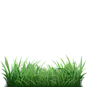 Short Green Grass Png Ldh52 PNG Image