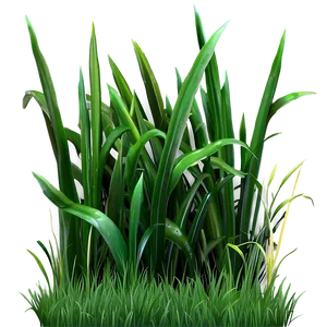 Short Green Grass Png Yrm PNG Image