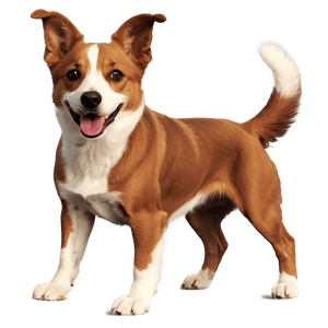 Short Haired Dogs PNG sca73 PNG image with transparent background