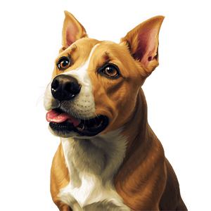 Short Haired Dogs PNG xgx PNG image with transparent background