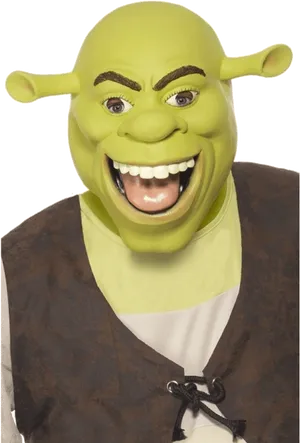 Shrek Character Smiling Face PNG Image