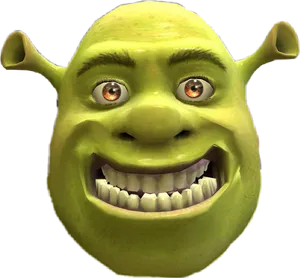 Shrek Smiling Close Up PNG Image