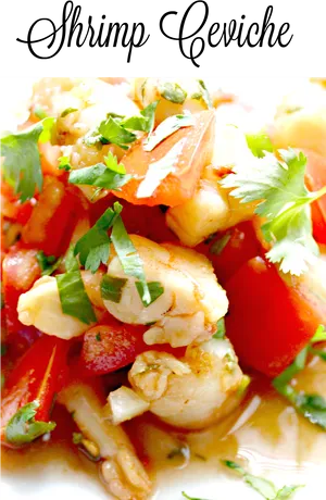 Shrimp Cevichewith Coriander PNG Image