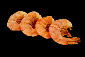 shrimp PNG PNG Images