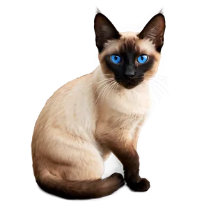 Siamese Cat Clipart Png Hyq83 PNG Image