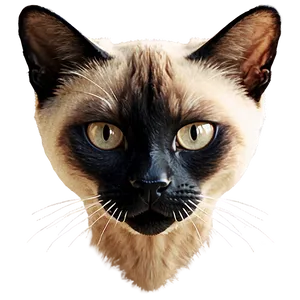 Siamese Cat Head Design Png 3 PNG Image