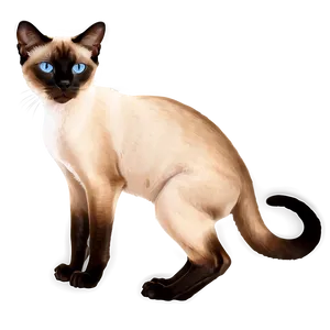 Siamese Cat Png 19 PNG Image