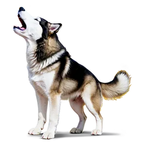 Siberian Husky Howling Png 49 PNG Image