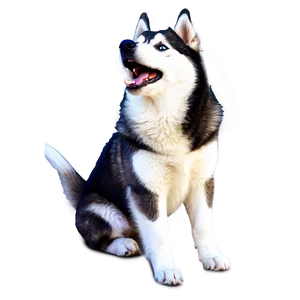 Siberian Husky Howling Png Hcc PNG Image