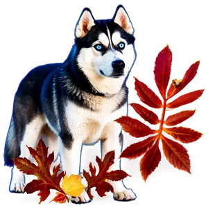 Siberian Husky In Leaves Png Mdp4 PNG Image