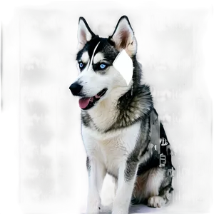 Siberian Husky In Park Png 06252024 PNG Image