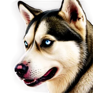 Siberian Husky Portrait Png 06252024 PNG Image