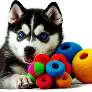 Siberian Husky With Toys Png Ekm PNG Image