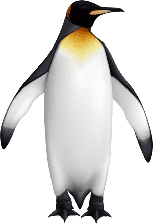 Side View Of Penguin, HD Png Download PNG image with transparent background