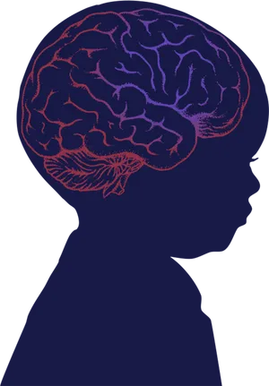 Silhouette Brain Illustration PNG Image