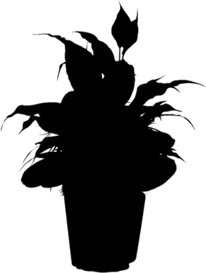 Silhouette Flower Potand Plant PNG Image