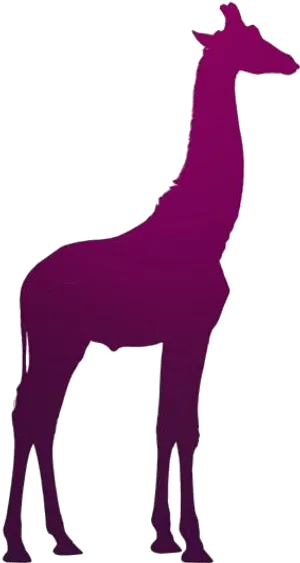 Silhouette_of_ Giraffe_ Standing PNG Image