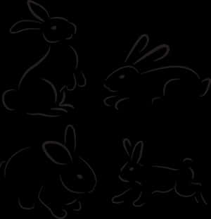Silhouette Rabbits Black Background PNG image with transparent background