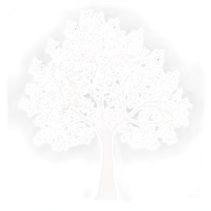 Silhouette Tree Outline Png Box5 PNG Image