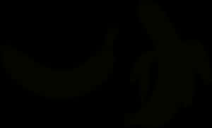 Silhouetted Bananas Dark Background PNG image with transparent background