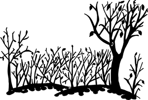 Silhouetted Bare Treesand Shrubs PNG with transparent background