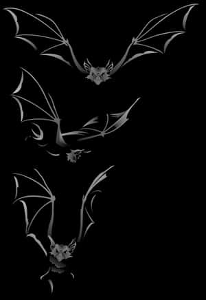 Silhouetted Batsin Flight PNG image with transparent background