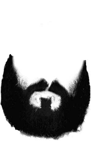 Free Png Beard And Moustache Png Images Transparent - Black Beard Png PNG
