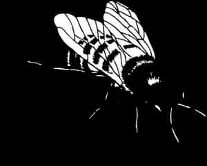 Silhouetted Bee Graphic PNG image with transparent background