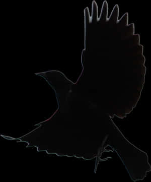 Silhouetted Birdin Flight PNG image with transparent background
