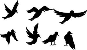 Silhouetted Birdsin Various Poses PNG Image