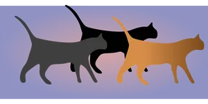 Silhouetted Cats Walking Together PNG Image