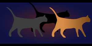 Silhouetted Cats Walking Together PNG