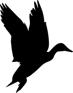 Silhouetted Flying Black Bird PNG Image