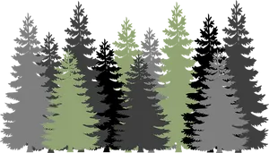 Silhouetted Forest Vector Illustration PNG Image