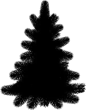 Silhouetted Pine Tree Black Background PNG Image