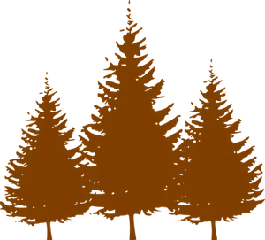 Silhouetted Pine Trees Graphic PNG Image