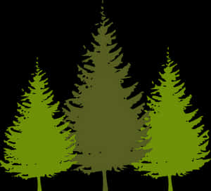 Silhouetted Pine Trees Graphic PNG image with transparent background