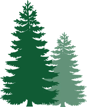 Silhouetted Pine Trees Graphic PNG Image