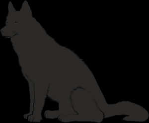 Silhouetted Sitting Dog PNG image with transparent background