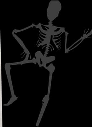Silhouetted Skeleton Pose PNG image with transparent background