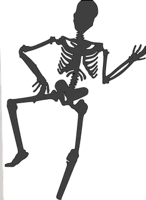 Silhouetted Skeleton Pose PNG Image