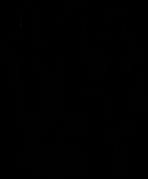 Silhouetted Team Standing Together PNG image with transparent background