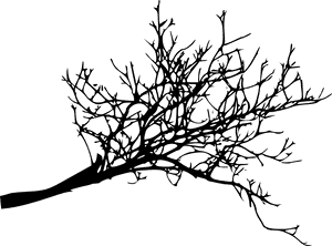 Silhouetted Tree Branch PNG image with transparent background