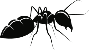 Line Clipart Ant - Ant Clipart, HD Png Download PNG image with transparent background