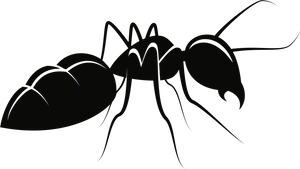 Silhouetteof Ant PNG Image