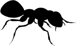 Silhouetteof Ant PNG Image