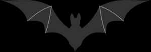 Silhouetteof Bats Flying PNG image with transparent background